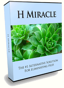 H Miracle System